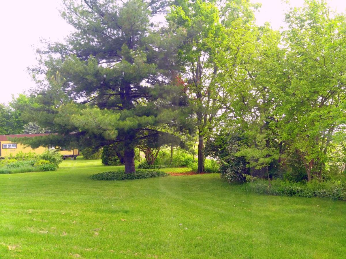 The Usonian Inn Llc Spring Green Exteriér fotografie